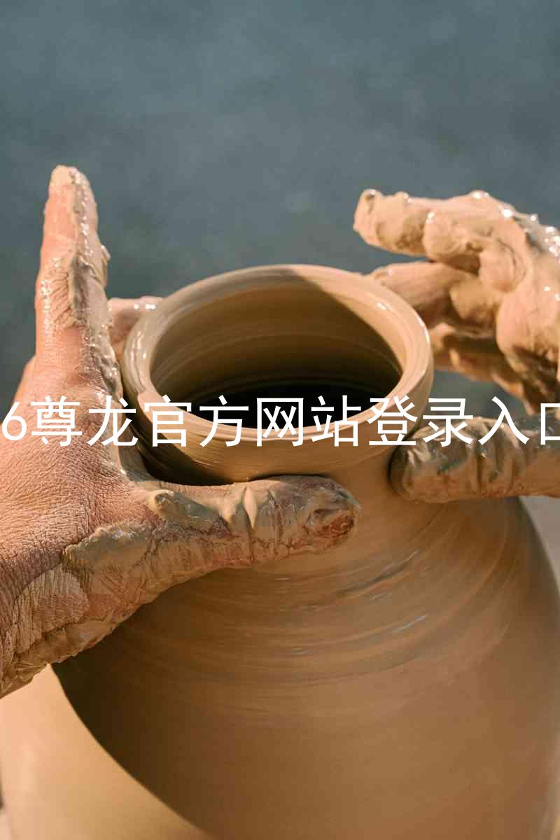 z6尊龙官方网站登录入口