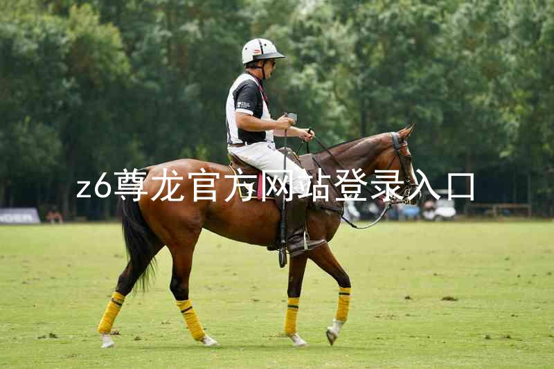 z6尊龙官方网站登录入口