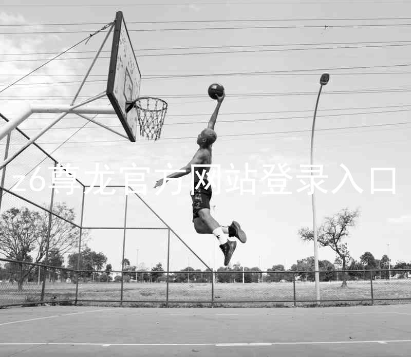 z6尊龙官方网站登录入口
